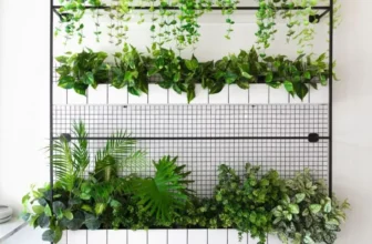 How Can You Create a Vertical Indoor Garden?